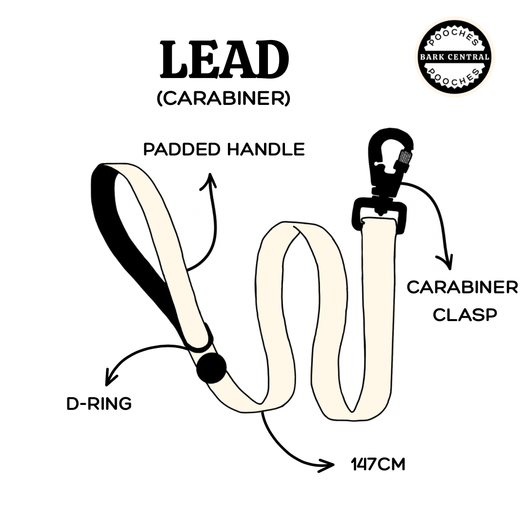 🤎 - Carabiner Lead