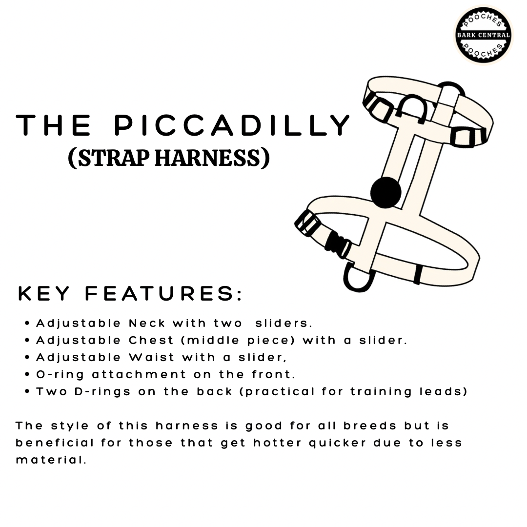 Highland Hills - The Piccadilly | Strap Harness