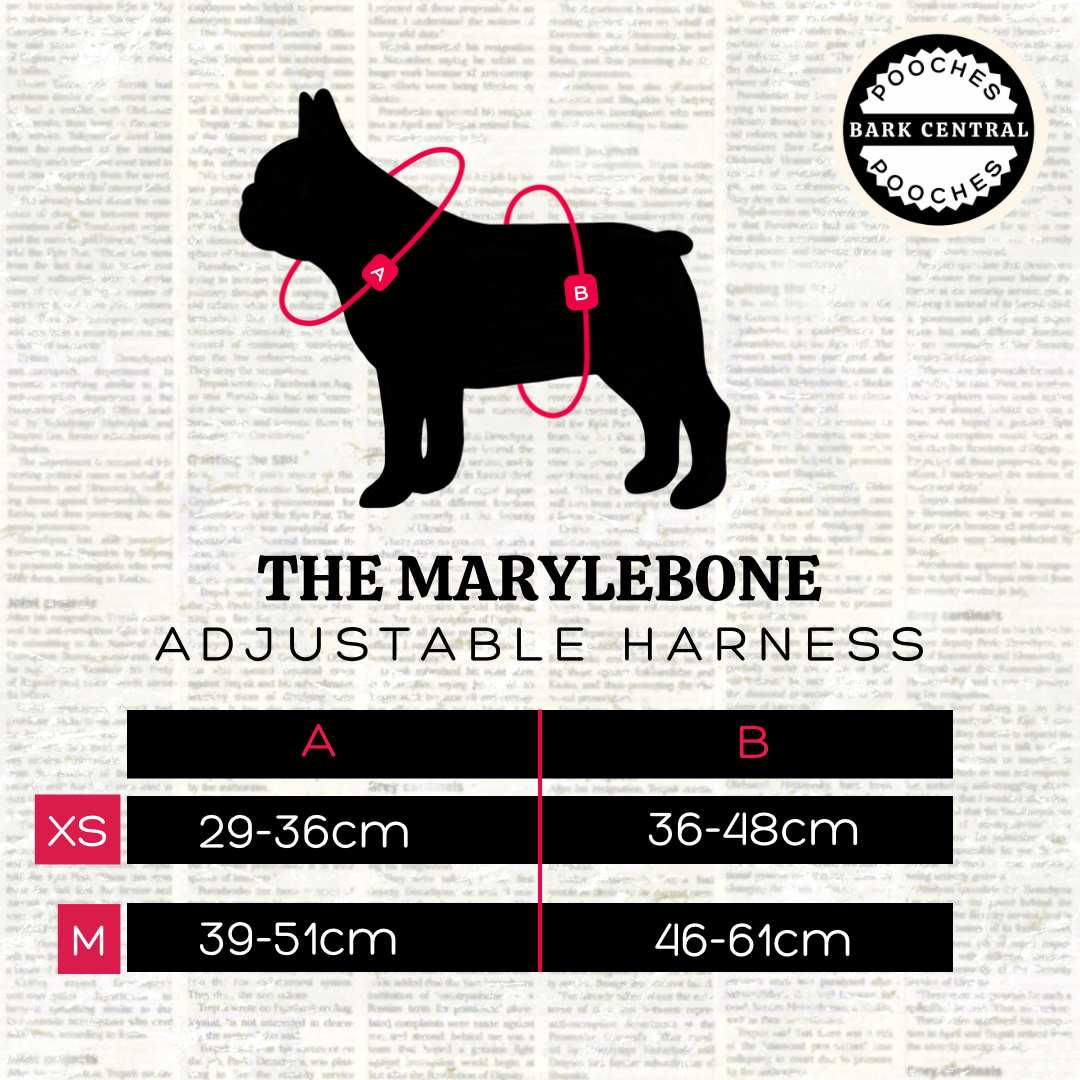 Monochrome Mind - The Marylebone | Adjustable Harness
