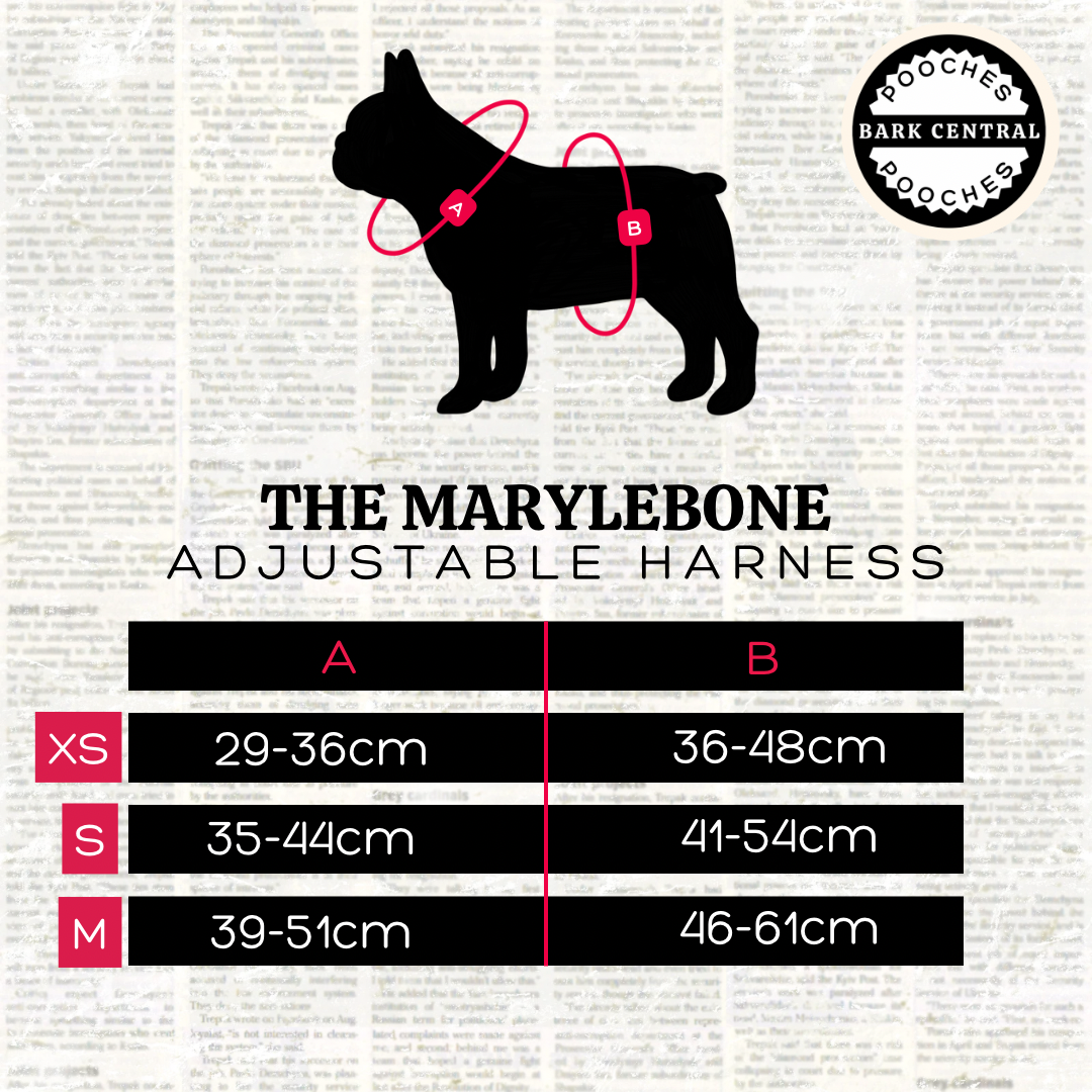 Olive Outdoors - The Marylebone | Adjustable Harness