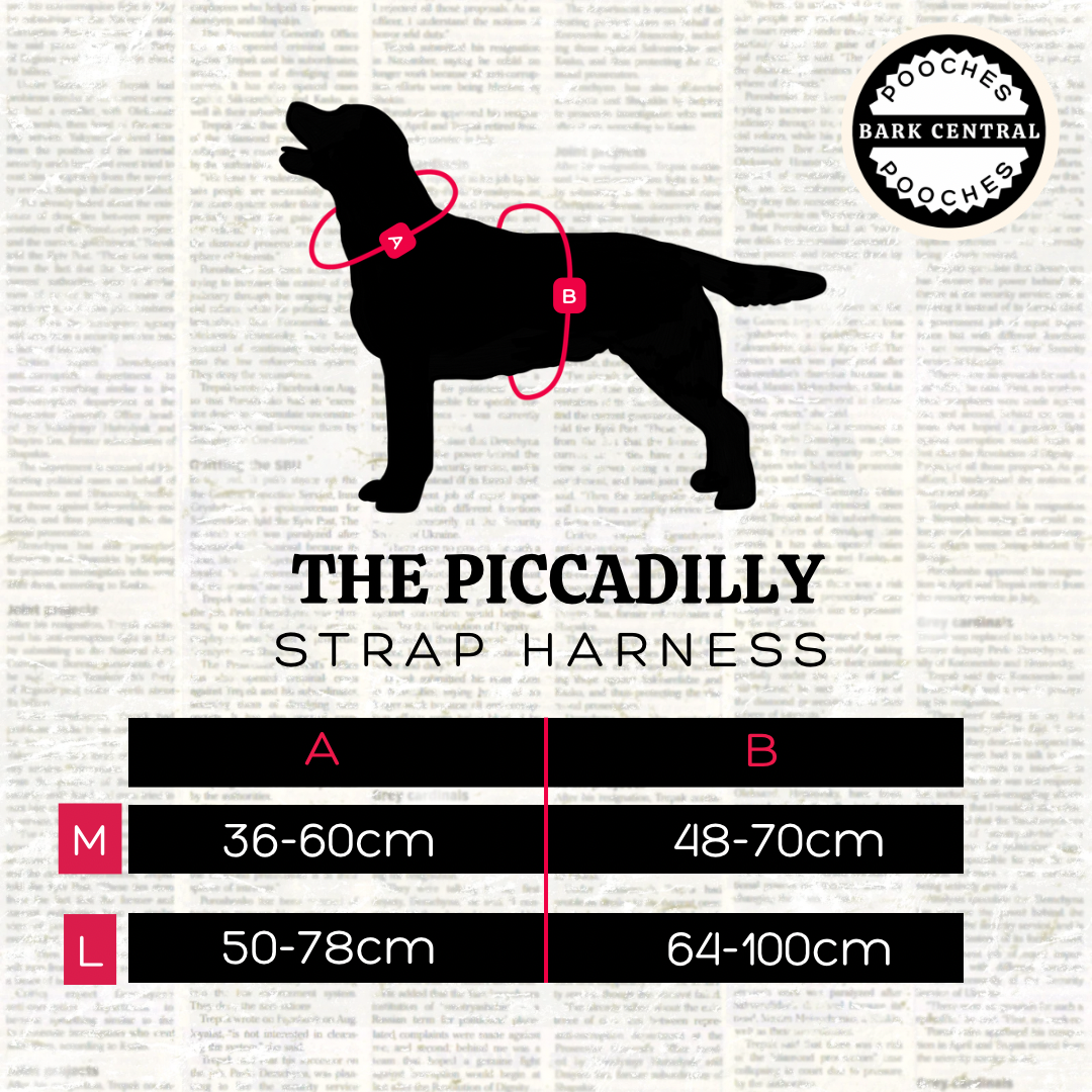 Highland Hills - The Piccadilly | Strap Harness