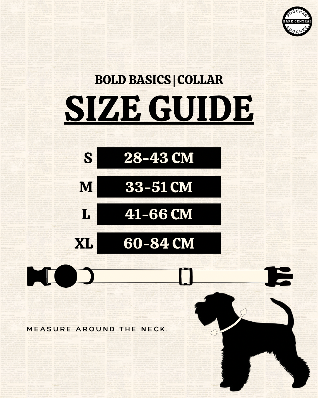 🤎 Bold Basic | Safety Clasp Collar