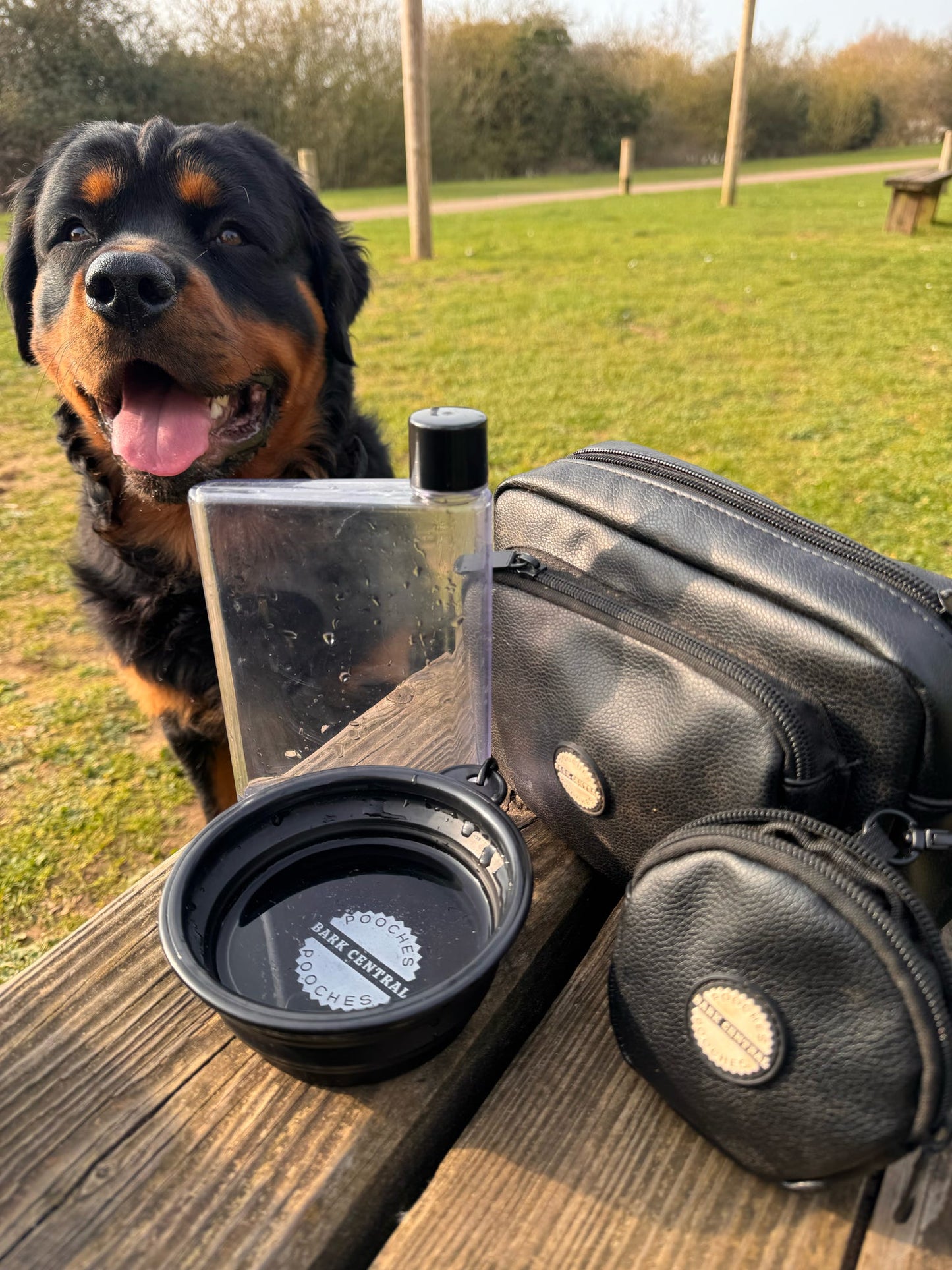 Knightsbridge Walking Bag, Treat Pouch, Bowl & Bottle Bundle!