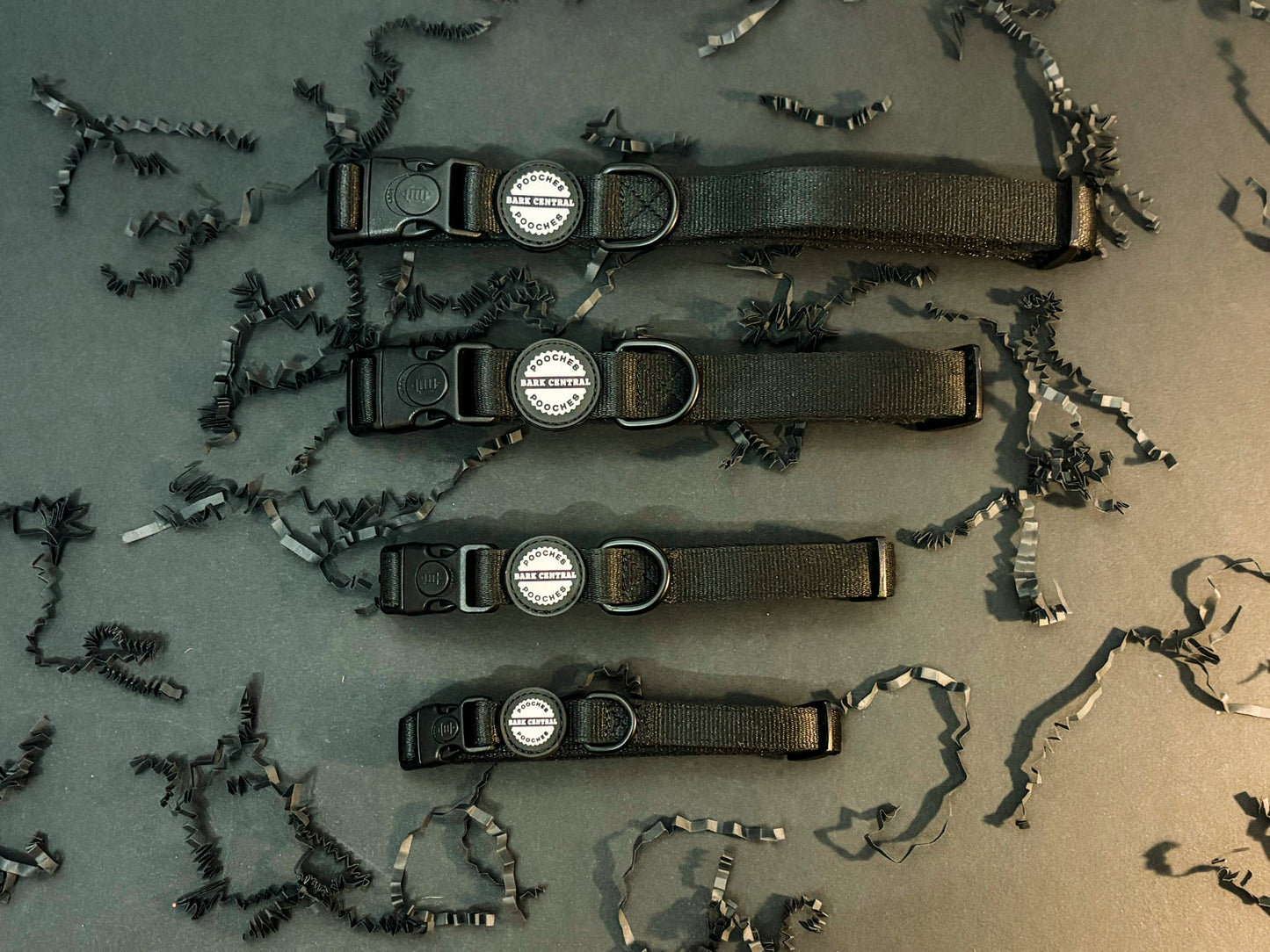 Black -  Bold Basics | Safety Buckle Collar