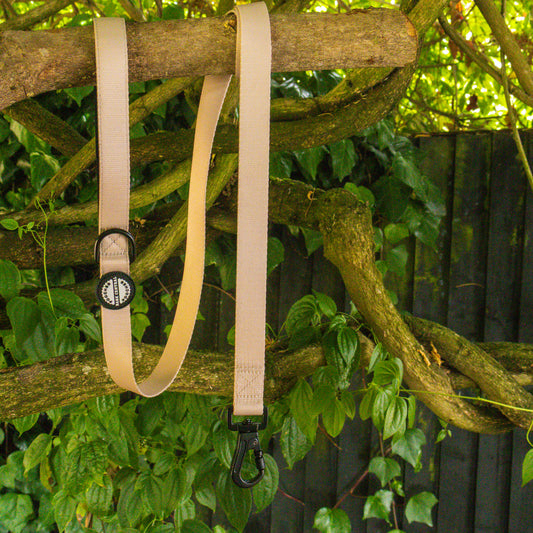Beige - Bold Basic | Carabiner Lead