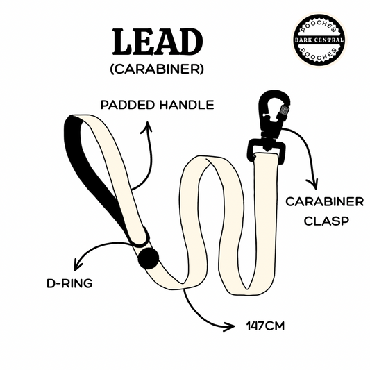 🤎 - Bold Basic | Carabiner Lead