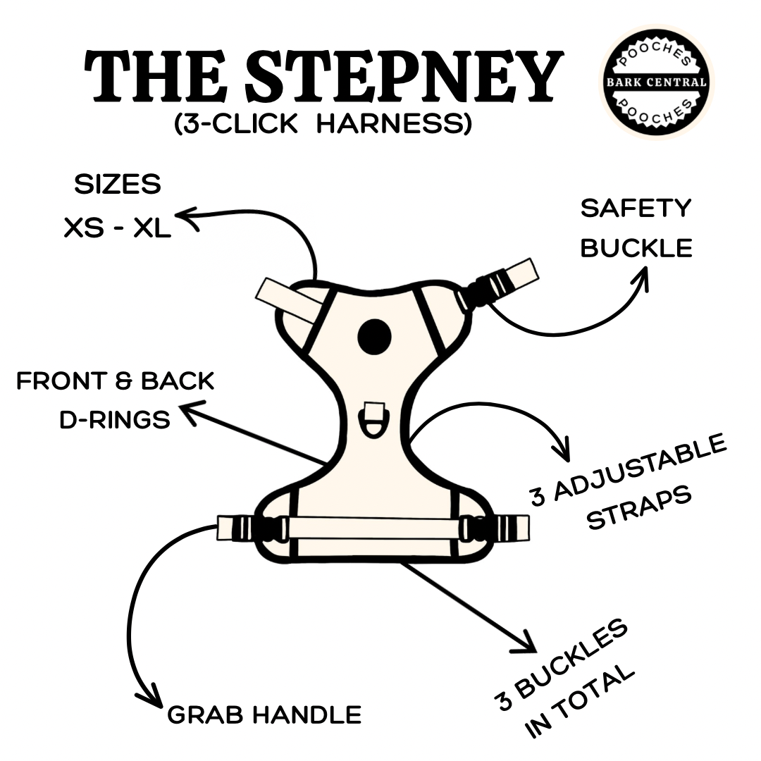 🤎 - The Stepney | 3 Click Harness