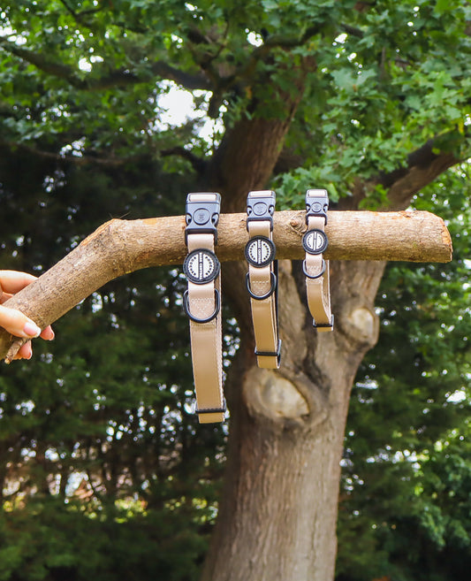 Beige - Bold Basic | Safety Clasp Collar