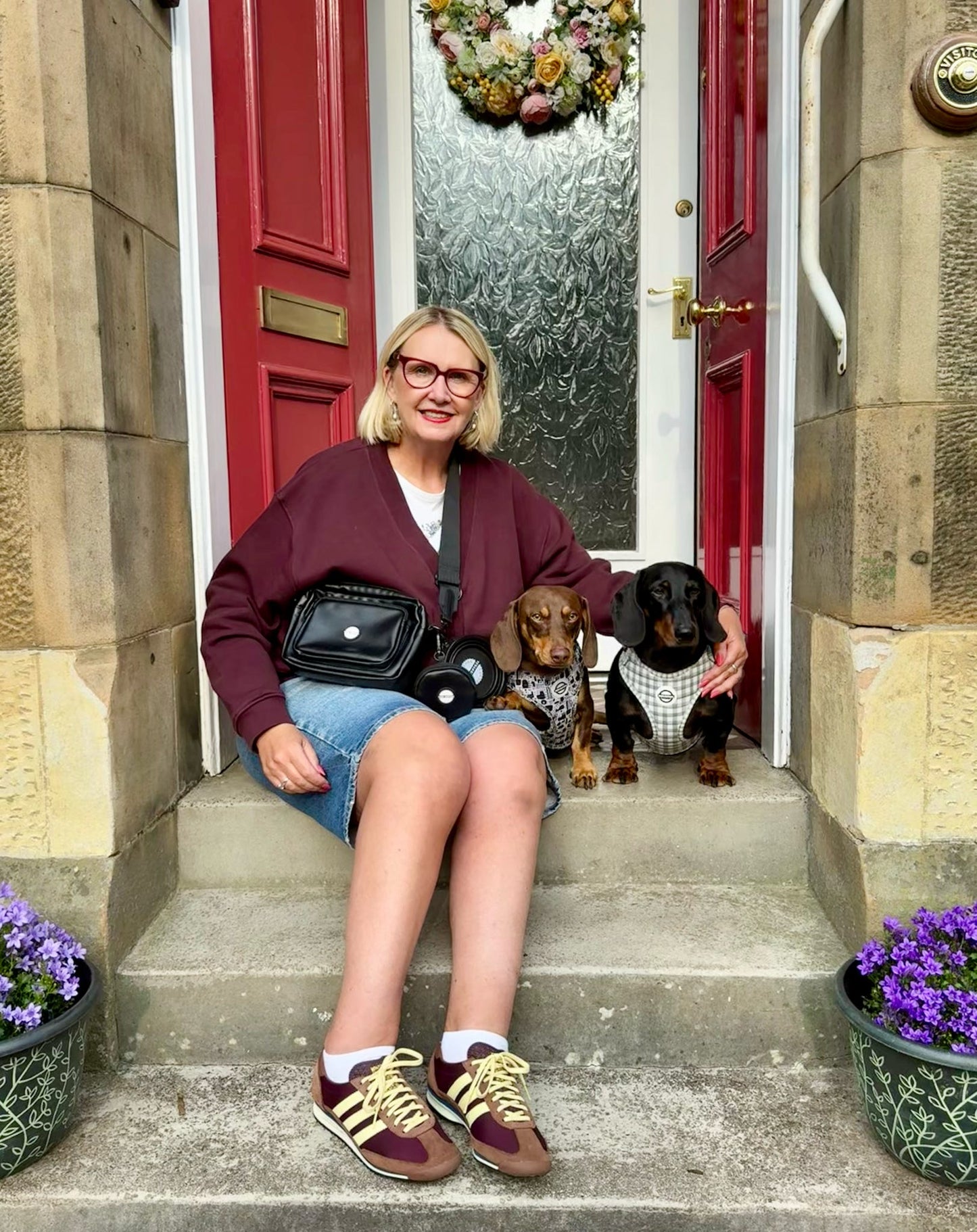 Knightsbridge Walking Bag, Treat Pouch, Bowl & Bottle Bundle!