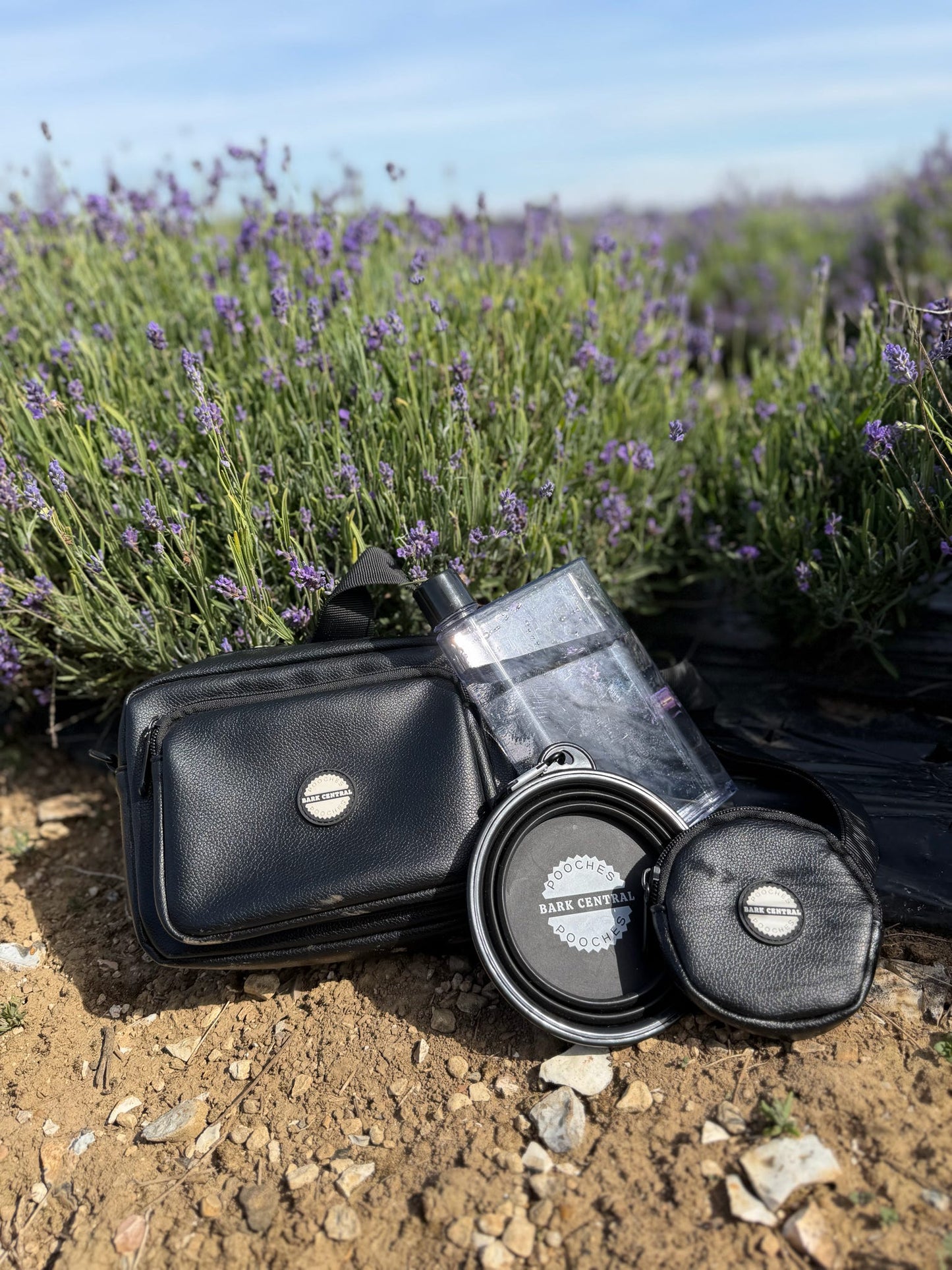 Knightsbridge Walking Bag, Treat Pouch, Bowl & Bottle Bundle!
