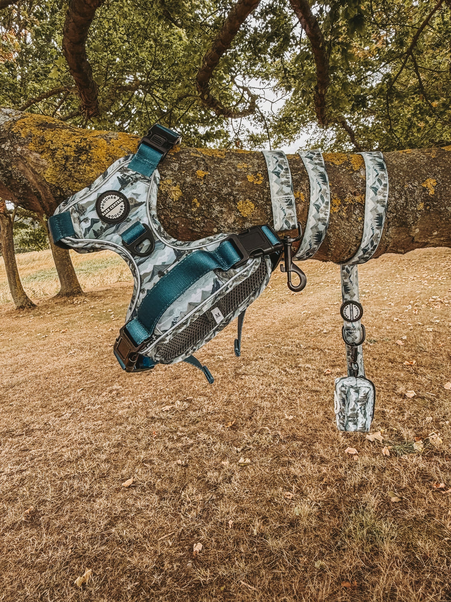 Highland Hills - Safety Clasp Lead