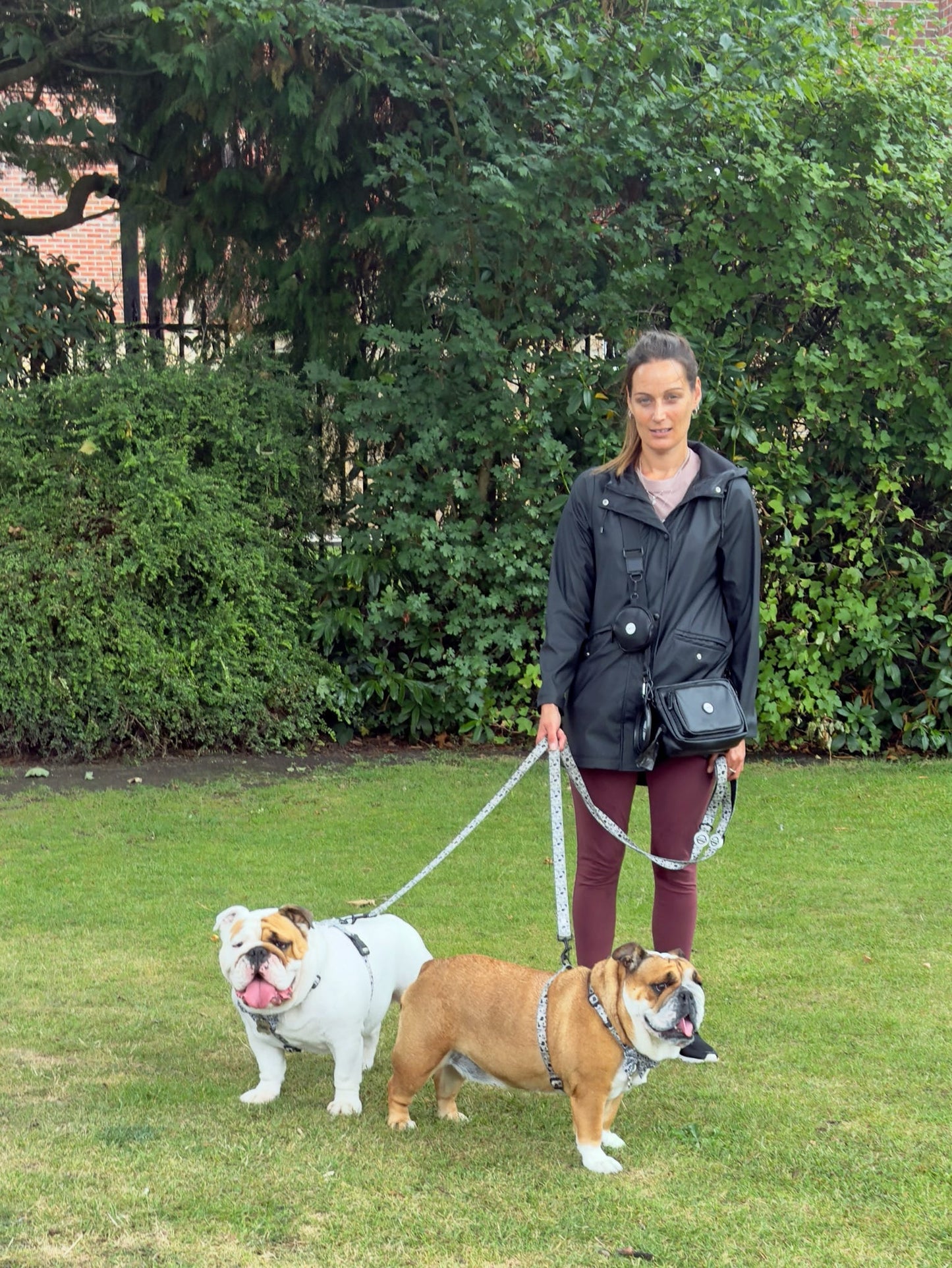 Knightsbridge Walking Bag, Treat Pouch, Bowl & Bottle Bundle!