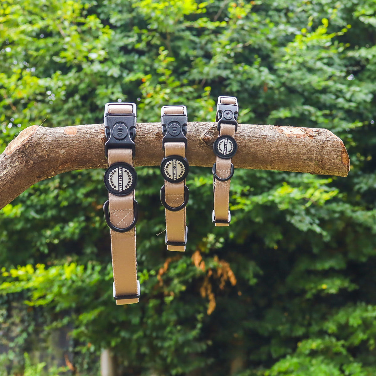 Beige - Bold Basic | Safety Clasp Collar