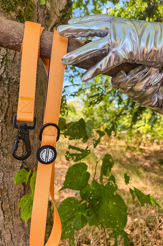 🧡 - Bold Basics | Safety Clasp Lead