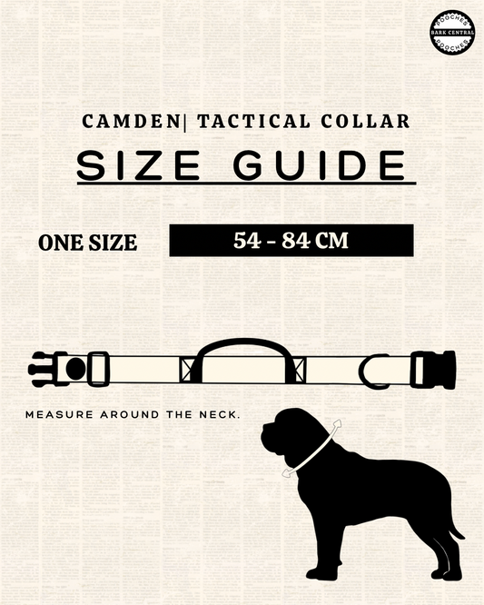 🤎 - The Camden | Tactical Collar