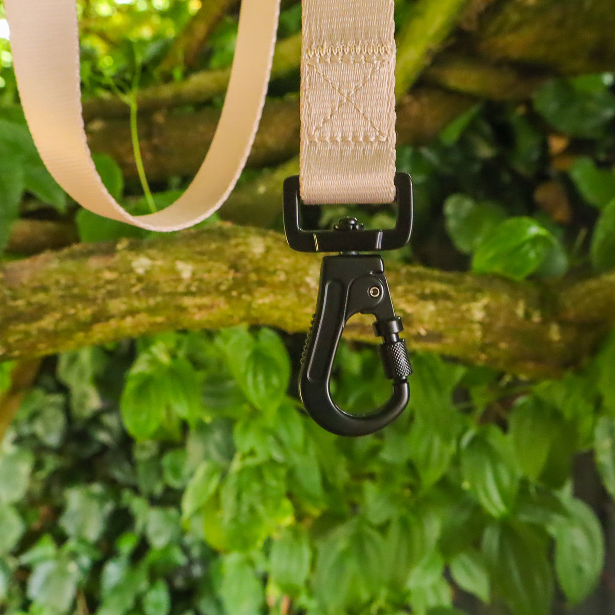 Beige - Bold Basic | Carabiner Lead