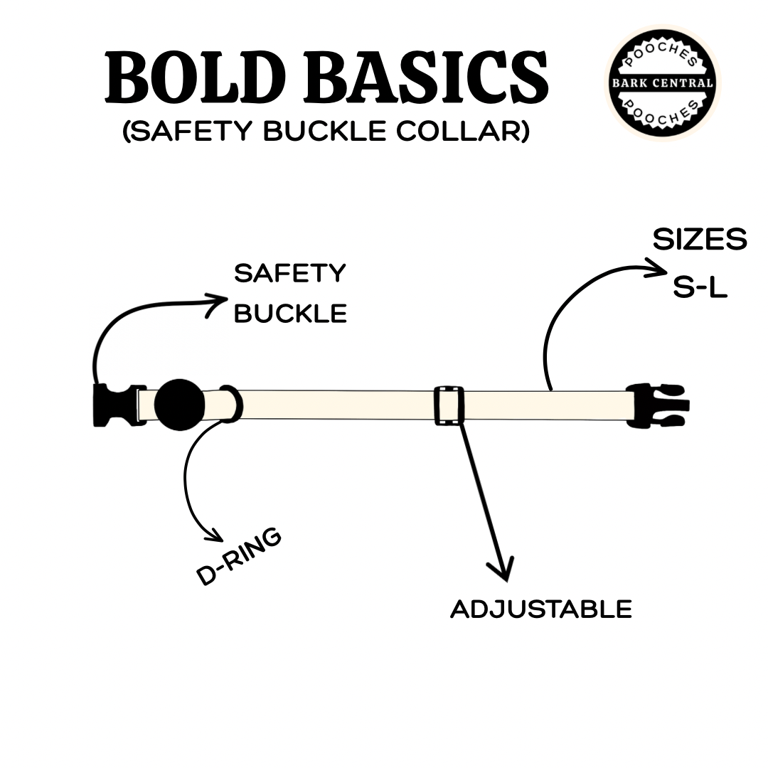 🤎 Bold Basic | Safety Clasp Collar