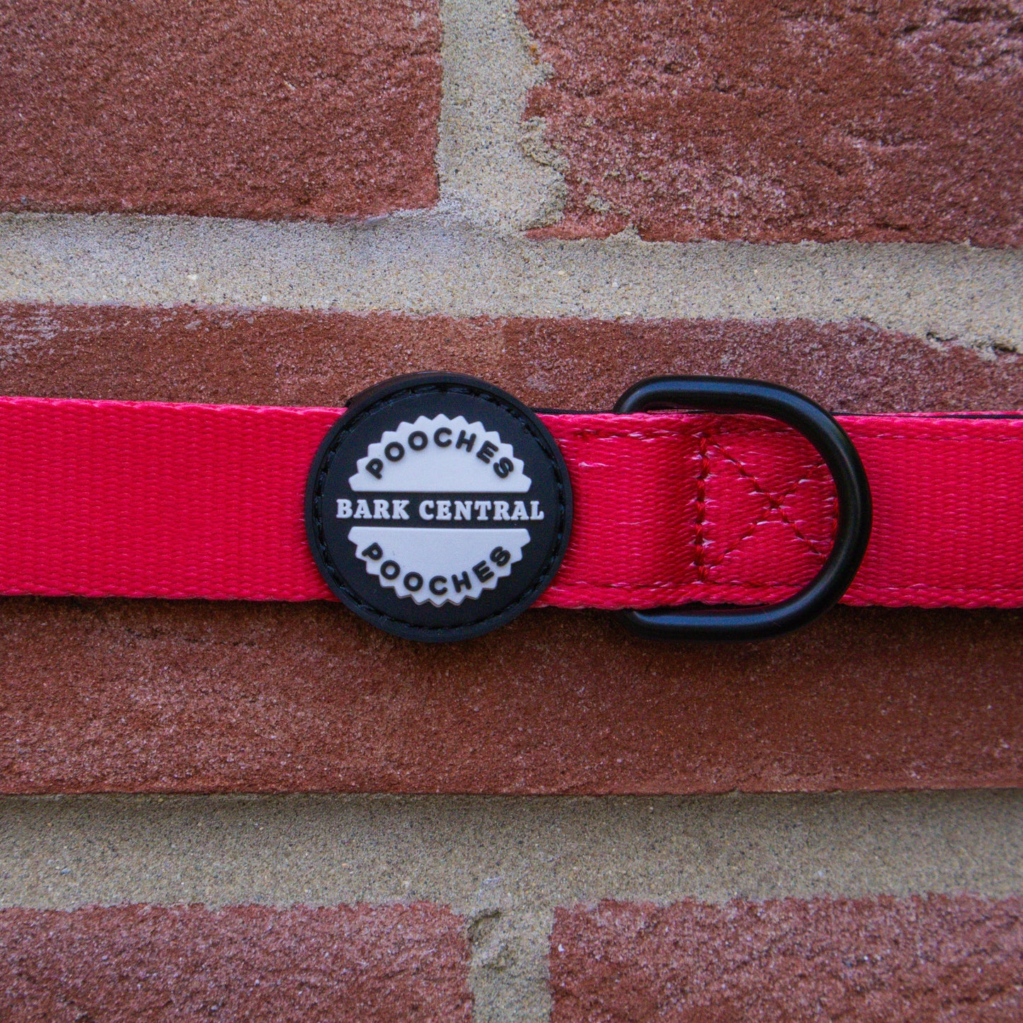 Red - Bold Basics | Safety Clasp Lead