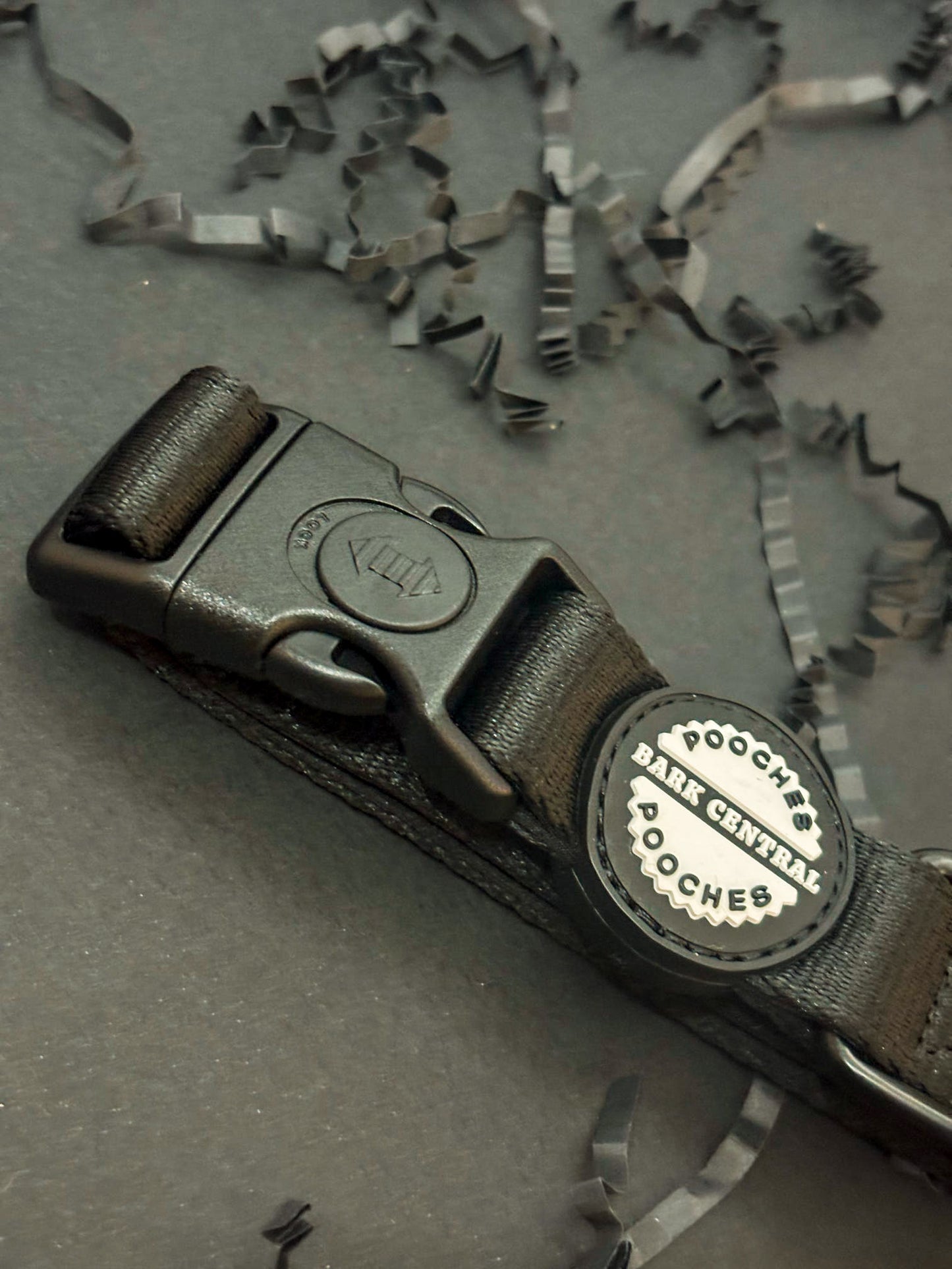 Black -  Bold Basics | Safety Buckle Collar