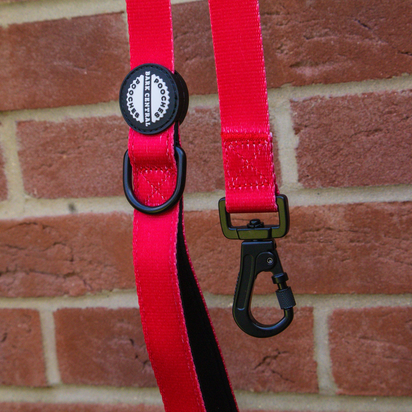 Red - Bold Basics | Safety Clasp Lead