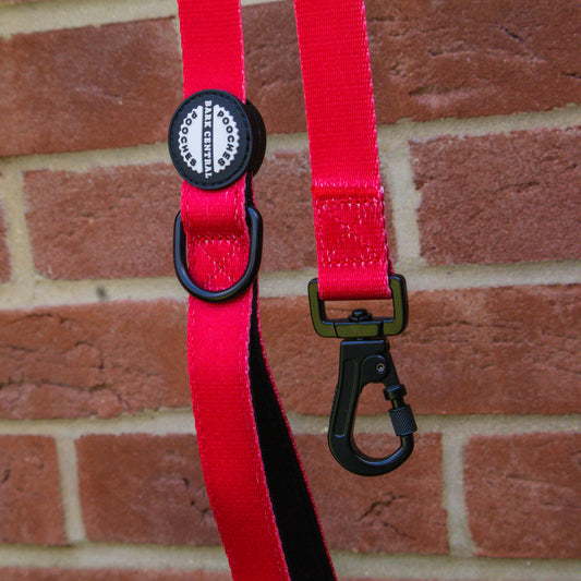 Red - Bold Basics | Safety Clasp Lead