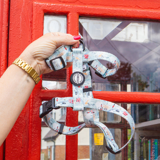 London Lanes - The Piccadilly | Strap Harness
