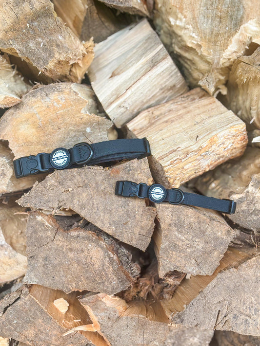 Black -  Bold Basics | Safety Buckle Collar