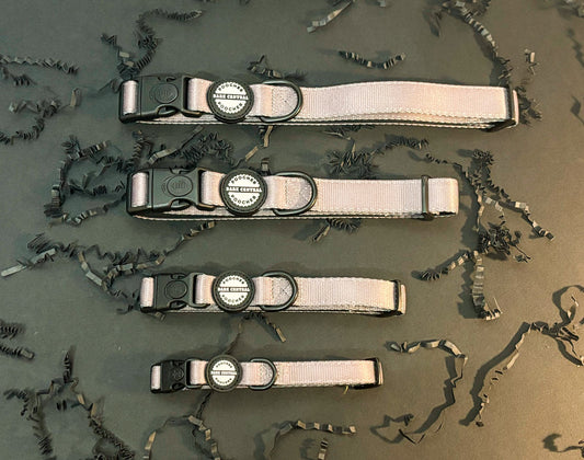 Nude - Bold Basics | Safety Clasp Collar