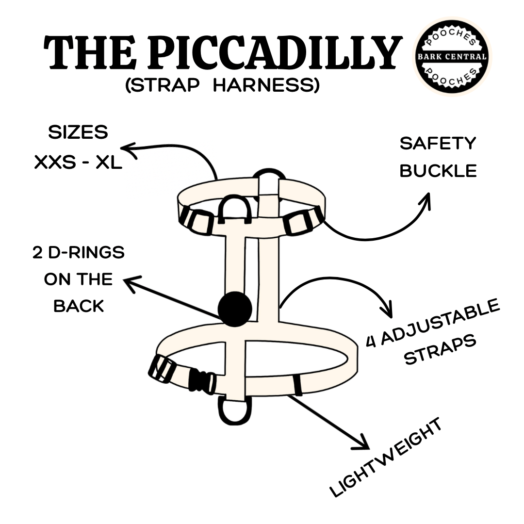 🤎 - The Piccadilly | Strap Harness