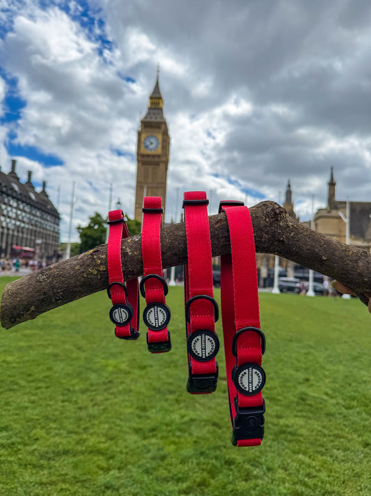 Red - Bold Basics | Safety Clasp Collar
