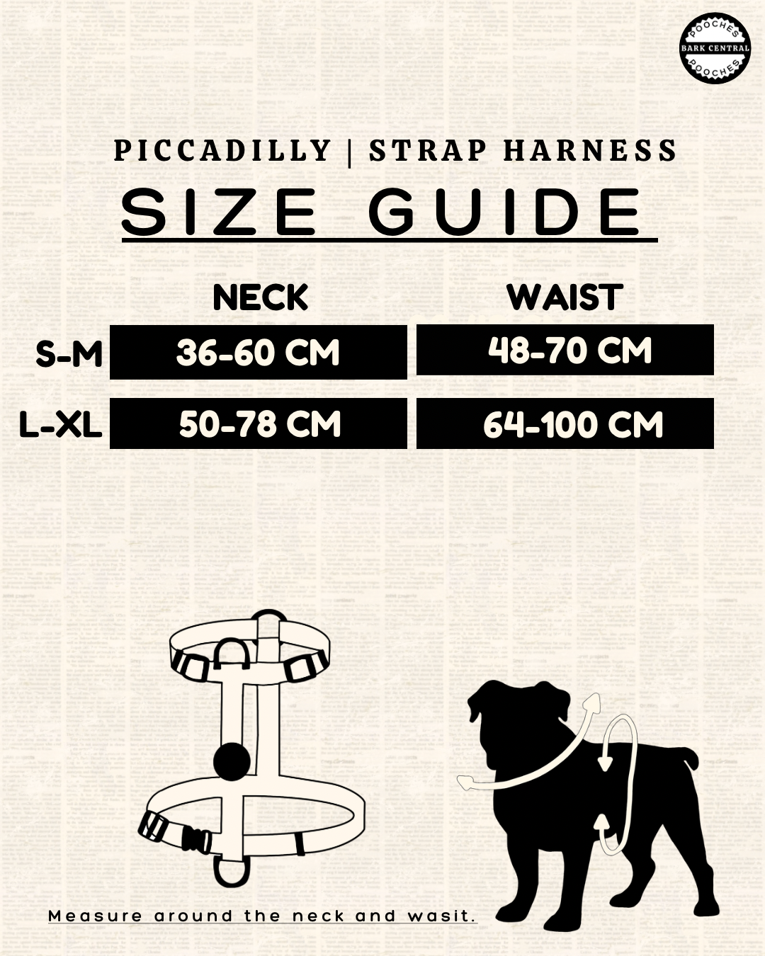??? - The Piccadilly | Strap Harness