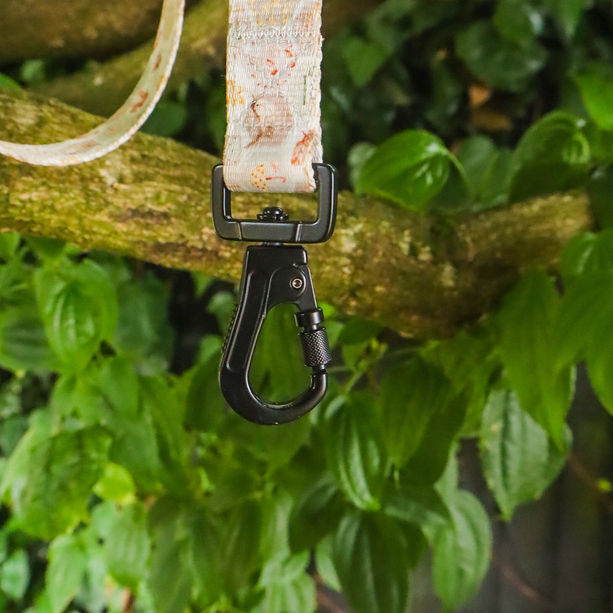 Grandads Garden - Carabiner Lead
