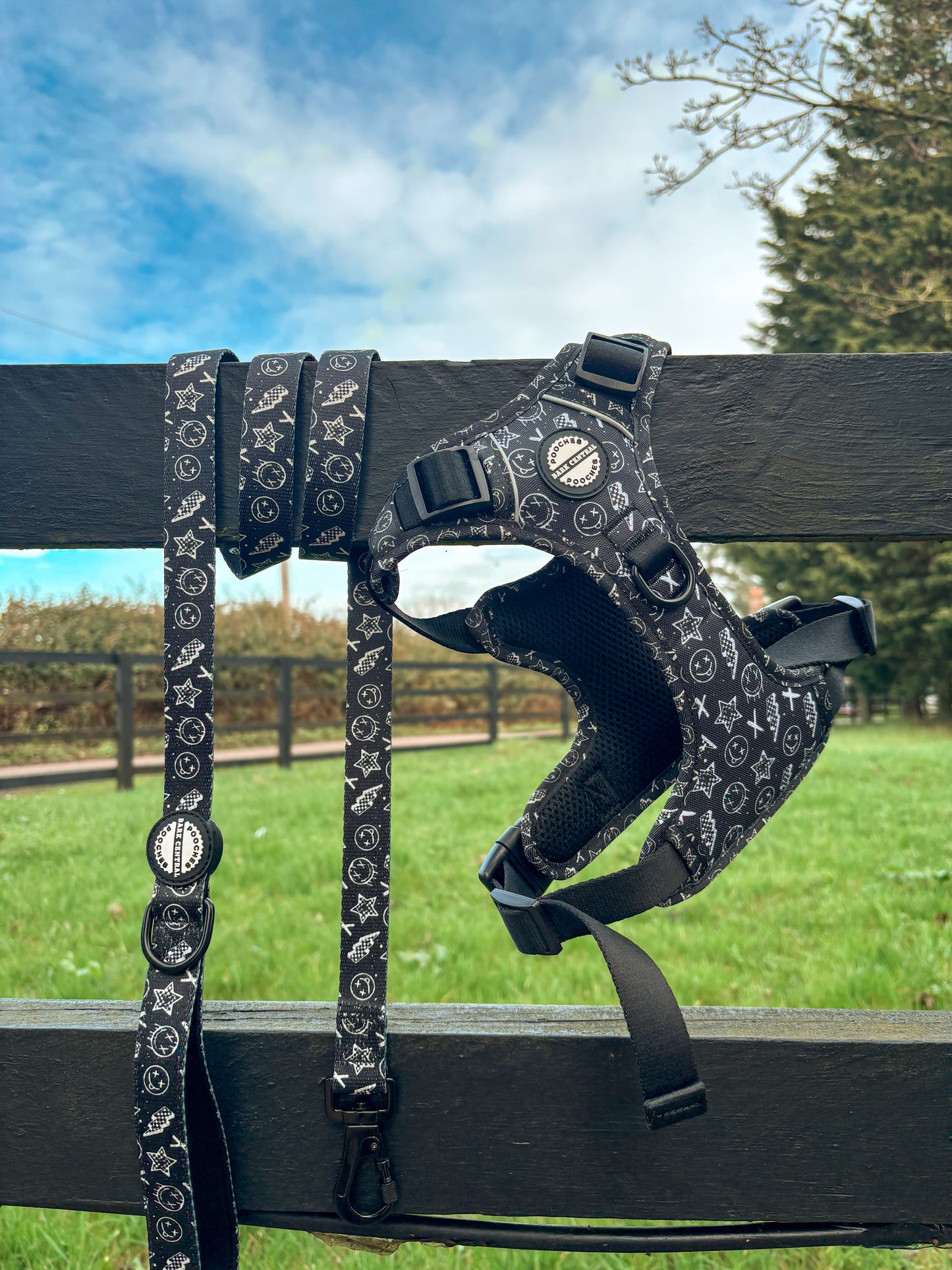 Street Smile - The Stepney | 3 Click Harness