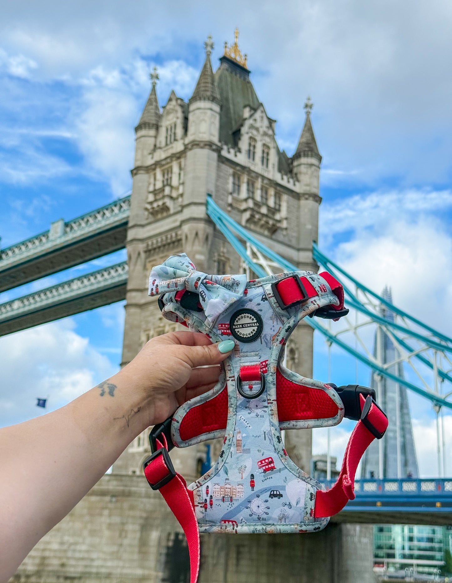 London Lanes  - The Stepney | 3 Click Harness