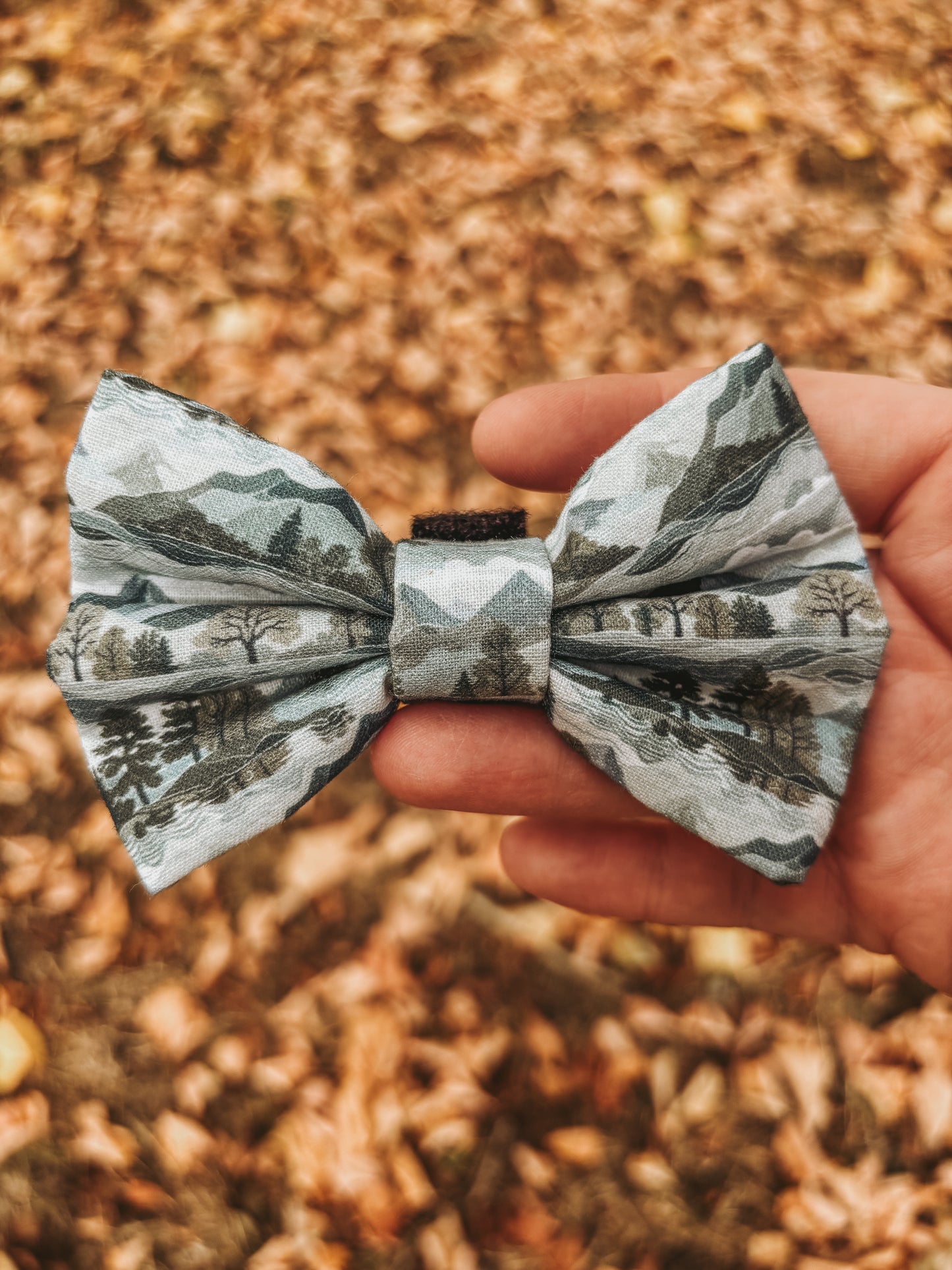 Highland Hills - Bow Tie