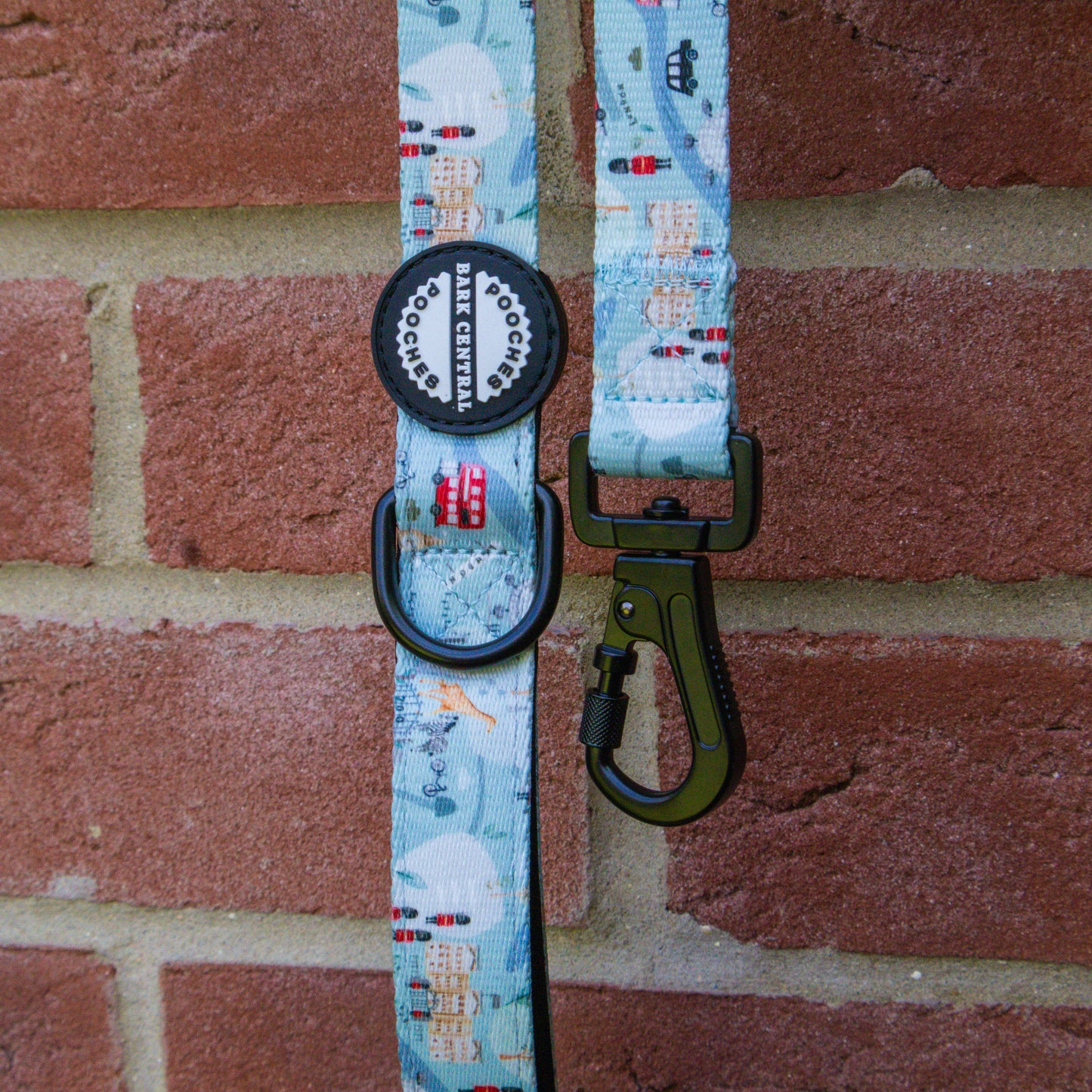 London Lanes  - Safety Clasp Lead