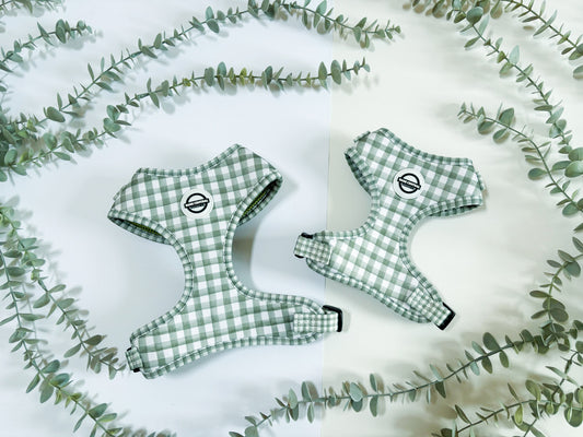Olive Outdoors - The Marylebone | Adjustable Harness