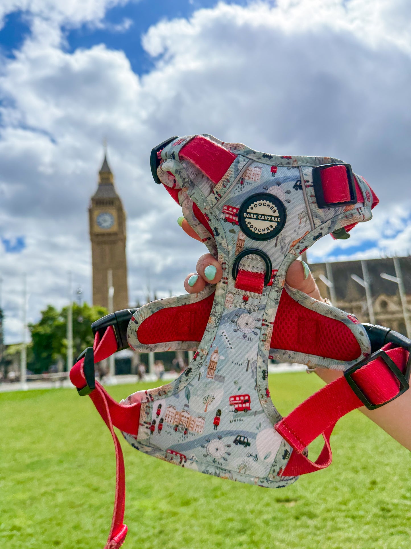 London Lanes  - The Stepney | 3 Click Harness