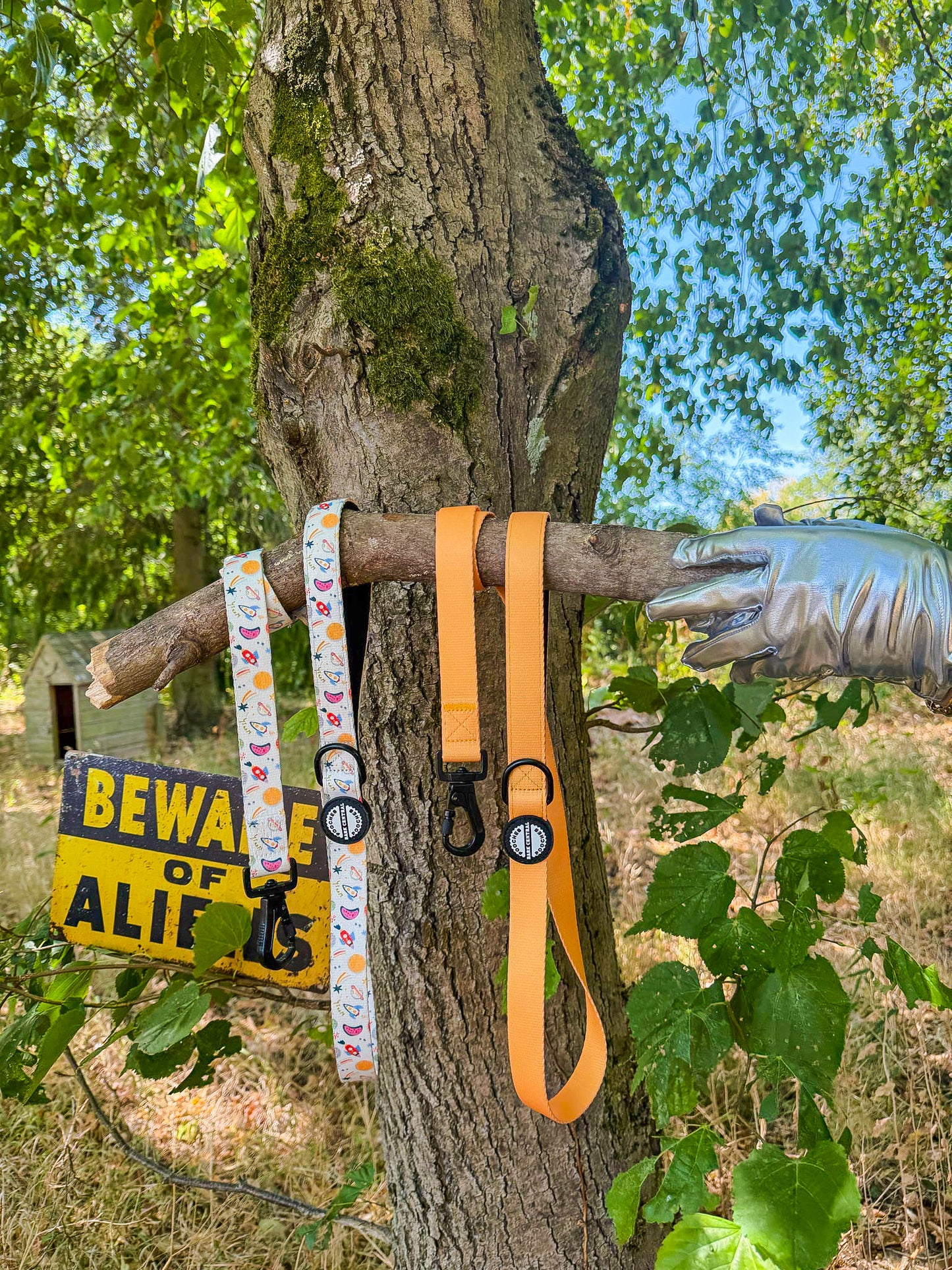 🧡 - Bold Basics | Safety Clasp Lead