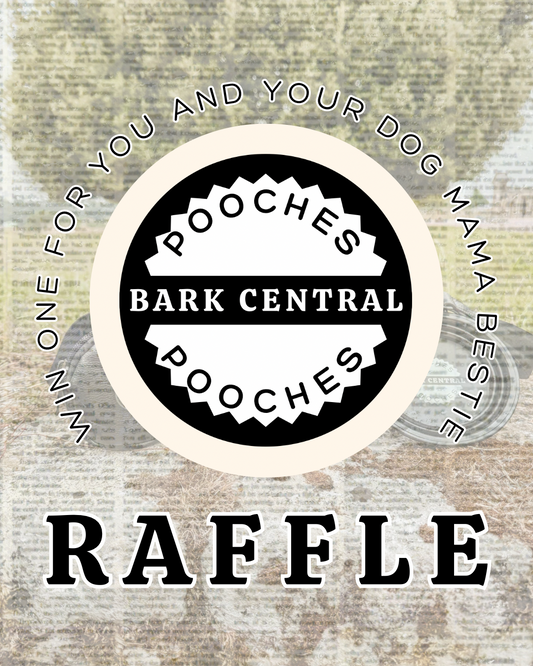 Raffle Ticket